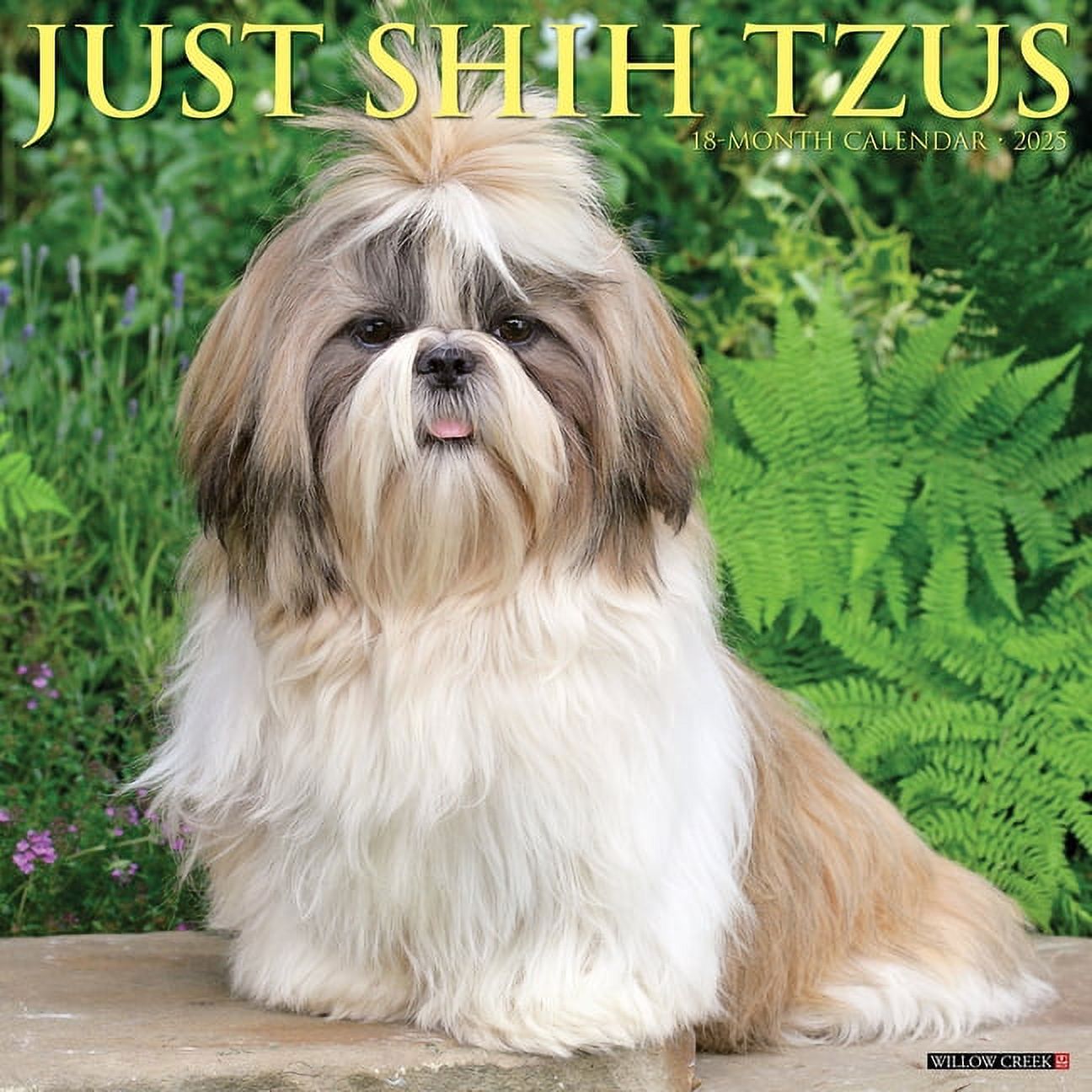 Just Shih Tzus 2025 12 X 12 Wall Calendar, (Paperback