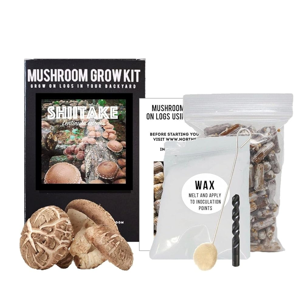 Shiitake Mushroom Outdoor Log Grow Kit Includes (100) Plugs, Wax W