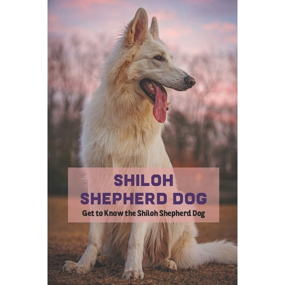 Shiloh Shepherd Dog: Get to Know the Shiloh Shepherd Dog, (Paperback)