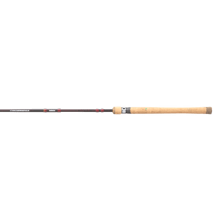 Spinning Rods in Fishing Rods 