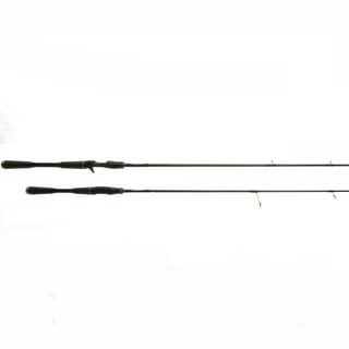 Shimano Casting Rods in Fishing Rods 