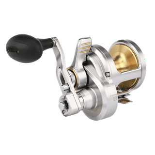 Shimano Fishing Reels in Fishing Reels by Brand