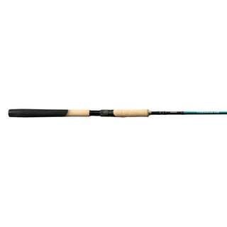 Best Rated and Reviewed in Saltwater Fishing Rods 