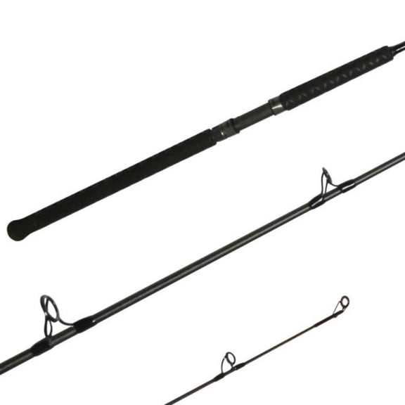 Shimano Fishing TERAMAR WC 100 XH CST 2PC Saltwater Inshore Casting [TMC100XHB2]