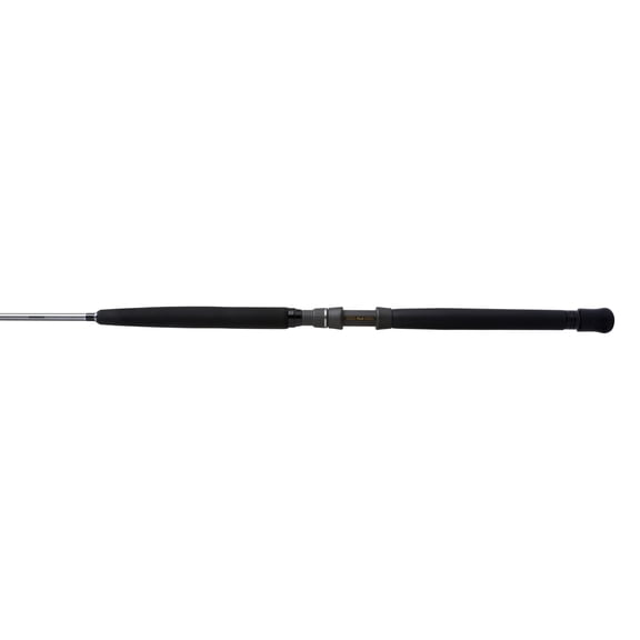 Shimano Fishing TEREZ BW 70 M RG CST A Saltwater Casting [TZBWC70MSBA]