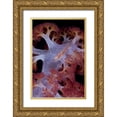 thumbnail image 1 of Shimlock, Jones 11x14 Gold Ornate Wood Framed with Double Matting Museum Art Print Titled - Indonesia Goby fish by pink soft coral, 1 of 4