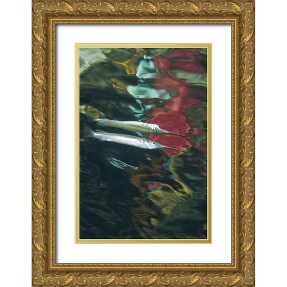 Shimlock, Jones 11x14 Gold Ornate Wood Framed with Double Matting Museum Art Print Titled - Indonesia, Papua Abstract of halfbeak fish