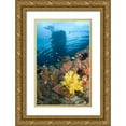 thumbnail image 1 of Shimlock, Jones 13x18 Gold Ornate Wood Framed with Double Matting Museum Art Print Titled - Indonesia, Misool, Boo Islands Reef scenic, 1 of 4
