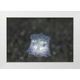 thumbnail image 1 of Shimlock, Jones 14x11 White Modern Wood Framed Museum Art Print Titled - Indonesia, Sulawesi Island, Juvenile boxfish, 1 of 4