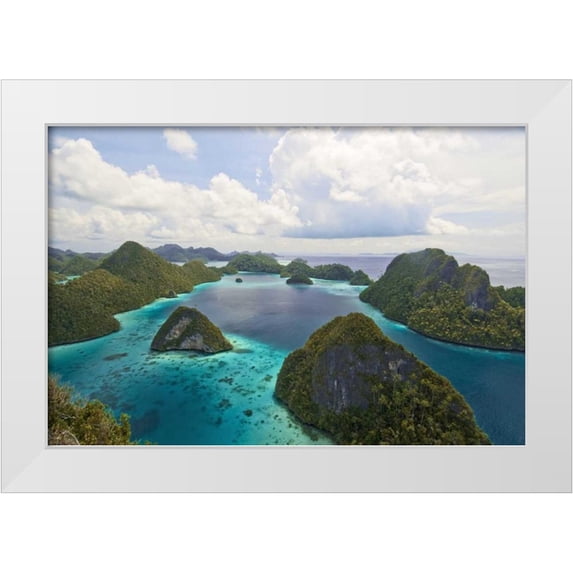 Shimlock, Jones 14x11 White Modern Wood Framed Museum Art Print Titled - Island vegetation, New Guinea Island, Indonesia
