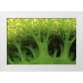 thumbnail image 1 of Shimlock, Jones 14x11 White Modern Wood Framed Museum Art Print Titled - Large sea squirt, Buyat, Sulawesi, Indonesia, 1 of 4