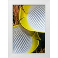 thumbnail image 1 of Shimlock, Jones 17x24 White Modern Wood Framed Museum Art Print Titled - Indonesia The back halves of two butterflyfish, 1 of 4