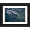 thumbnail image 1 of Shimlock, Jones 18x13 Black Ornate Wood Framed with Double Matting Museum Art Print Titled - Indonesia, Papua, Cenderawasih Bay Whale shark, 1 of 4