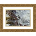 thumbnail image 1 of Shimlock, Jones 18x13 Gold Ornate Wood Framed with Double Matting Museum Art Print Titled - Indonesia, A banggi cardinalfish by sea anemone, 1 of 4