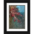thumbnail image 1 of Shimlock, Jones 23x32 Black Ornate Wood Framed with Double Matting Museum Art Print Titled - Baitfish around soft coral, Papua, Indonesia, 1 of 4