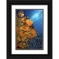 thumbnail image 1 of Shimlock, Jones 23x32 Black Ornate Wood Framed with Double Matting Museum Art Print Titled - Fusiliers and anthias, Fak Fak, Papua, Indonesia, 1 of 4