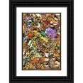 thumbnail image 1 of Shimlock, Jones 23x32 Black Ornate Wood Framed with Double Matting Museum Art Print Titled - Indonesia, Papua Colorful coral Reef Scenic, 1 of 4