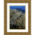 thumbnail image 1 of Shimlock, Jones 23x32 Gold Ornate Wood Framed with Double Matting Museum Art Print Titled - Indonesia, Komodo NP Turtle swims over coral, 1 of 4