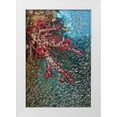 thumbnail image 1 of Shimlock, Jones 23x32 White Modern Wood Framed Museum Art Print Titled - Baitfish around soft coral, Papua, Indonesia, 1 of 4