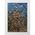 thumbnail image 1 of Shimlock, Jones 23x32 White Modern Wood Framed Museum Art Print Titled - Indonesia, Raja Ampat Underwater fish and coral, 1 of 4