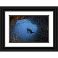 thumbnail image 1 of Shimlock, Jones 32x23 Black Ornate Wood Framed with Double Matting Museum Art Print Titled - Baitfish and diver at cave, Papua, Indonesia, 1 of 4