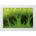 thumbnail image 1 of Shimlock, Jones 32x23 White Modern Wood Framed Museum Art Print Titled - Large sea squirt, Buyat, Sulawesi, Indonesia, 1 of 4