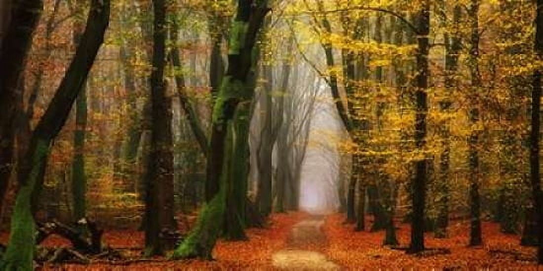 Shimmer Canvas Art - Lars Van de Goor (24 x 48)