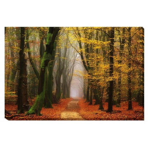 Shimmer Canvas Giclee Artwork - 24 in.