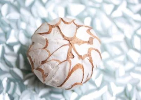 Shimmer Shells I Canvas Art - Susan Bryant (18 x 24)