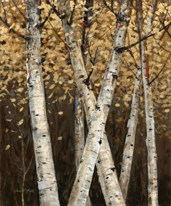 Shimmering Birches 1 Canvas Art - Arnie Fisk (20 x 24)