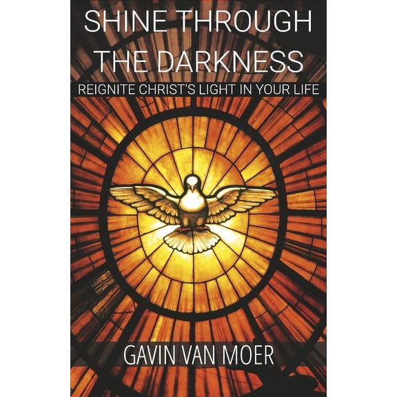 Shine through the darkness : Reignite Christ's light in your life (Paperback)