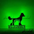 thumbnail image 1 of Shinelab FLoral Chinese Crested Metal Sign, Custom Name Family Dog LED Wall Art, Animal Home Decor 8293, 1 of 3