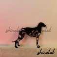 thumbnail image 1 of Shinelab FLoral Scottish Deerhound Metal Sign, Custom Name Family Dog LED Wall Art, Animal Home Decor 8313, 1 of 3