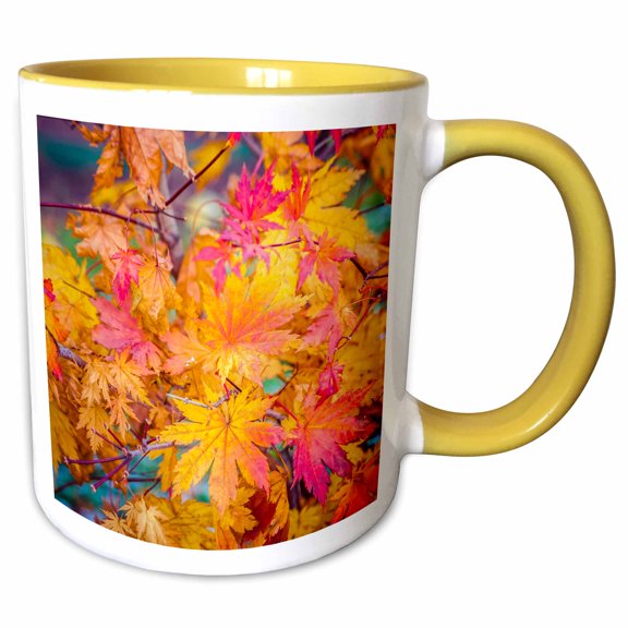 3drose, Shining Foliage of a Japanese Maple Tree, 11oz Two-tone Yellow Mug