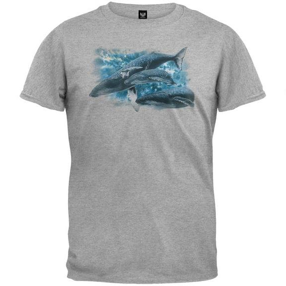 Shining Through Heather Gray T-Shirt - Large