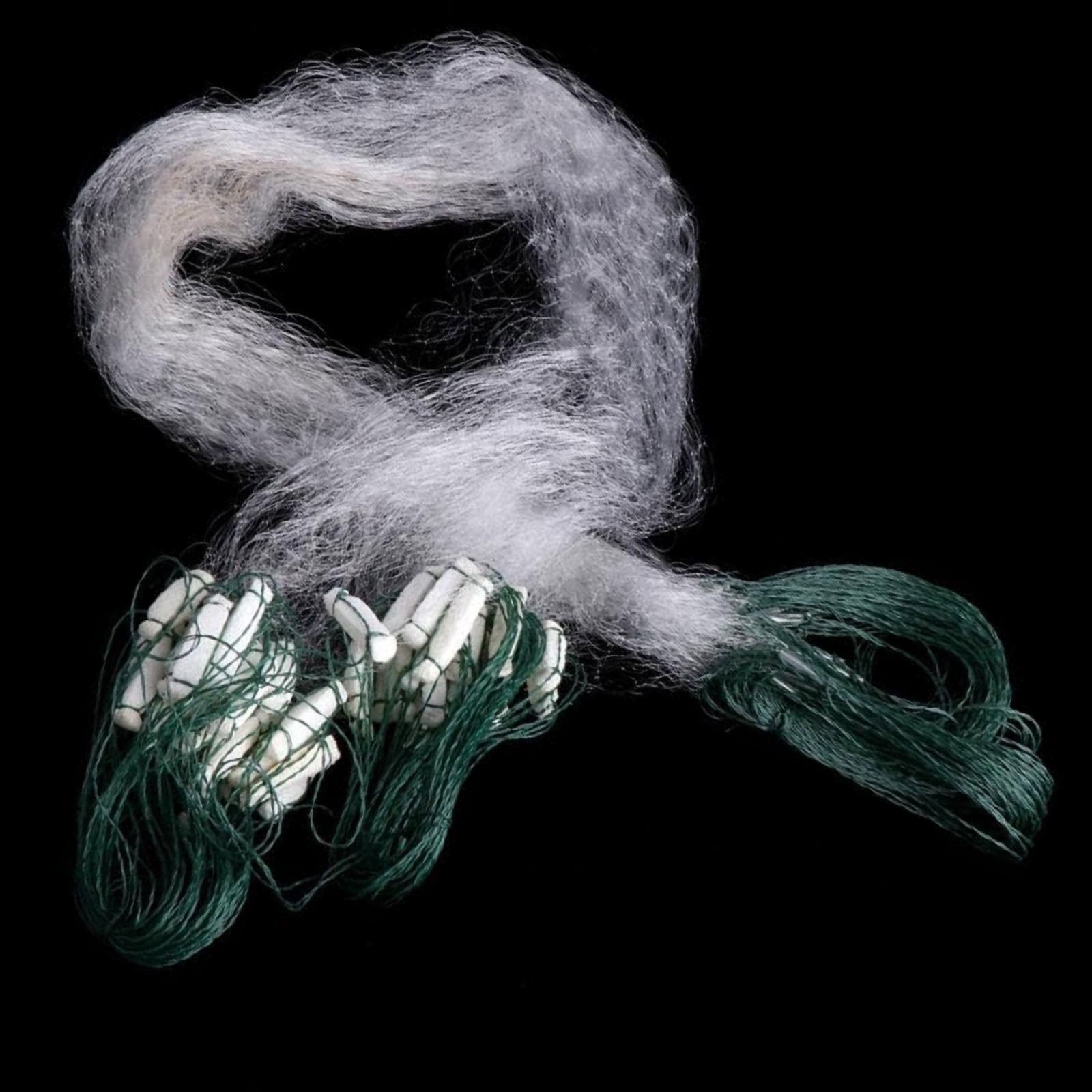 Finefish With Sinker Without Sinker Cast Net Fish Network