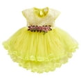 thumbnail image 1 of Shinyii Newborn Girls Flower Short Sleeve Tutu Dress Summer Tulle Princess Dress, Sizes 0-6M, 1 of 4