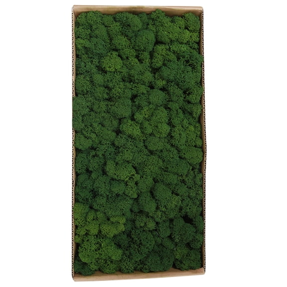 Shinysix Widget,Preserved Moss Preserved Moss Wall