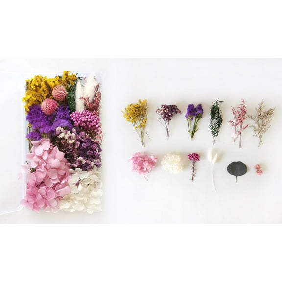 Shipiny Dried Flowers Material Kit Diy Everlasting Flowers Material Making Valentine's Day Gift, Valentines Day Decorations, Valentines Gifts for Him/Her, H