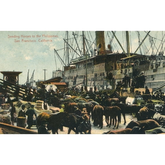 Shipping Horses, San Francisco, California, Usa Poster Print By Mary Evans Pharcide (36 X 24)