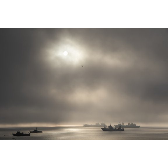 Ships in port in the fog; El Callao, Lima, Peru by Peter Langer / Design Pics (19 x 12)