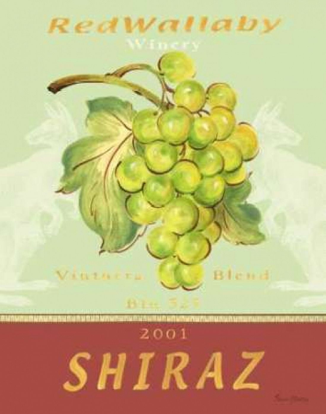 Shiraz Canvas Art - Pamela Gladding (24 x 30)