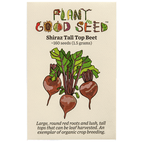 Shiraz Tall Top Beet Seeds