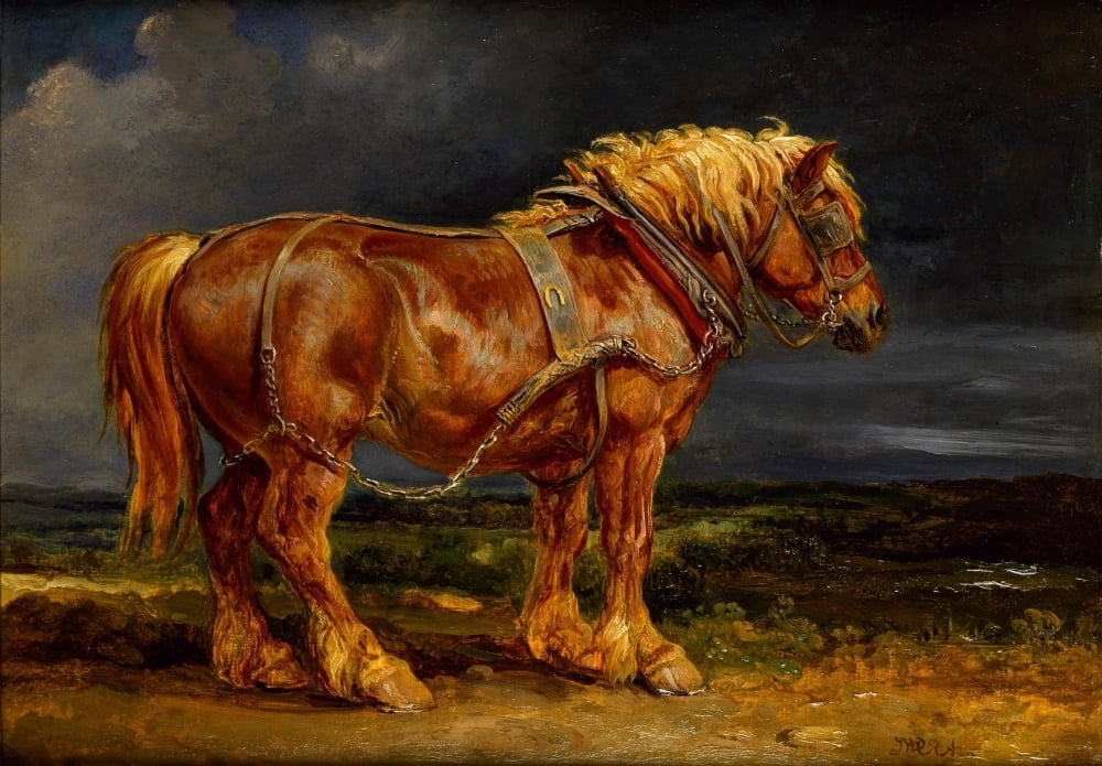 Shire Horse Canvas Art - James Ward (18 x 24)