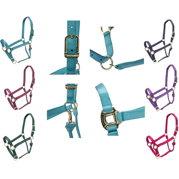 Shires ARMA Adjustable Horse Nylon Halter #10574 Raspberry / Pony
