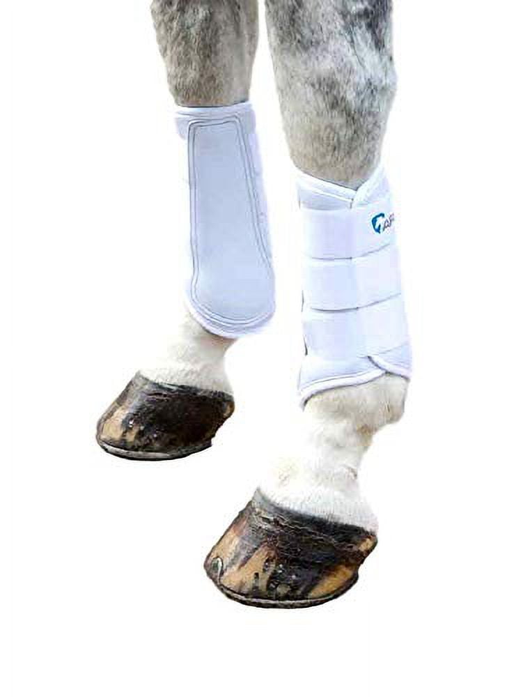 Shires brushing boots top