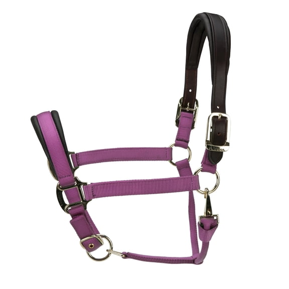 Shires Arma Premium Nylon Halter with Soft Leather Padding - Multiple Sizes Burgundy / Cob