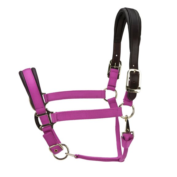 Shires Arma Premium Nylon Halter with Soft Leather Padding - Multiple Sizes Raspberry / Pony