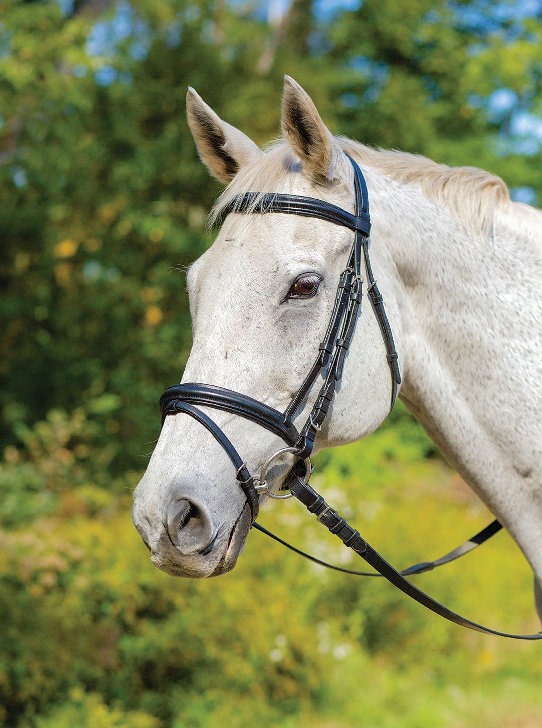 Shires Equestrian Avignon Louisville Bridle - Thumbnail 3