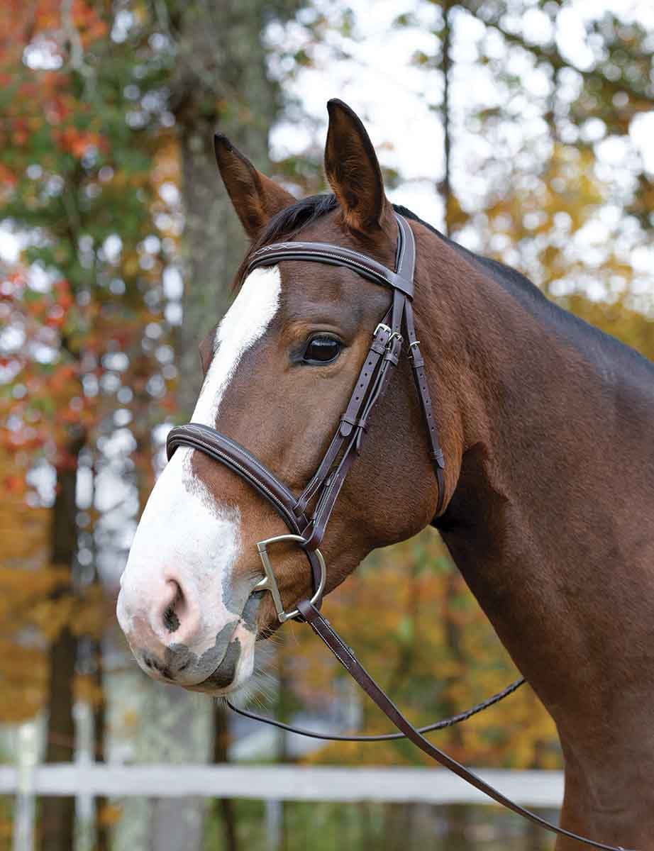 Shires Equestrian Avignon Nashville Bridle